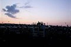 tn_85pm001