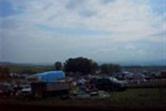 tn_buff023_jpg