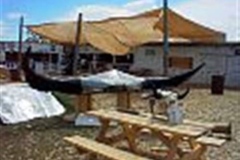 tn_buff027