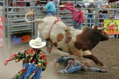 05 BC PBR-009
