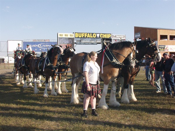 View photos from the 2007 Photos by Steve Wilson Clydesdales Photo Gallery