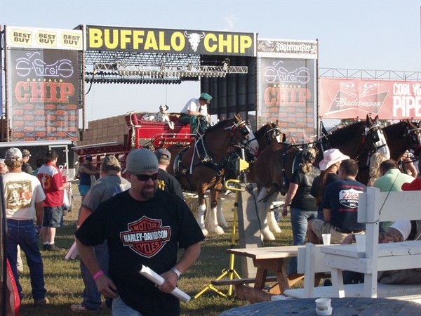 View photos from the 2007 Photos by Steve Wilson Clydesdales Photo Gallery