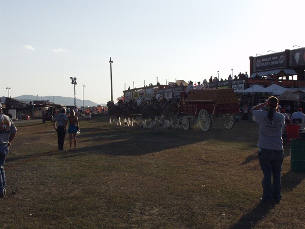 View photos from the 2007 Photos by Steve Wilson Clydesdales Photo Gallery