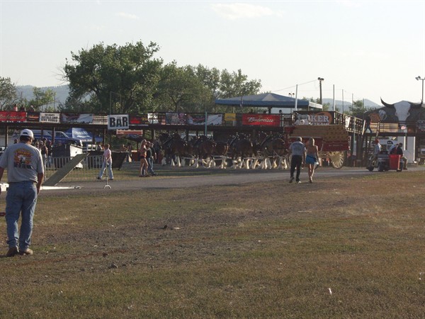 View photos from the 2007 Photos by Steve Wilson Clydesdales Photo Gallery