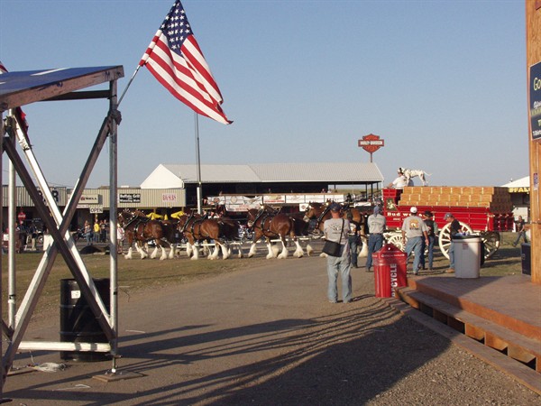 View photos from the 2007 Photos by Steve Wilson Clydesdales Photo Gallery