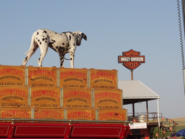 View photos from the 2007 Photos by Steve Wilson Clydesdales Photo Gallery