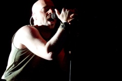 daughtry4
