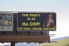 Chip_Shots_08-07-2008_013