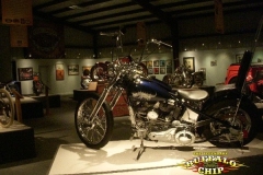DSCN3783
