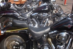 DSCN4044