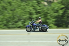 2010_CY_fri-10191-6