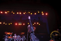 Chip_2010_AP_-1213