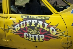 BC_AP_CHIP_-10391