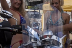 Chip_2010_KK_-8738