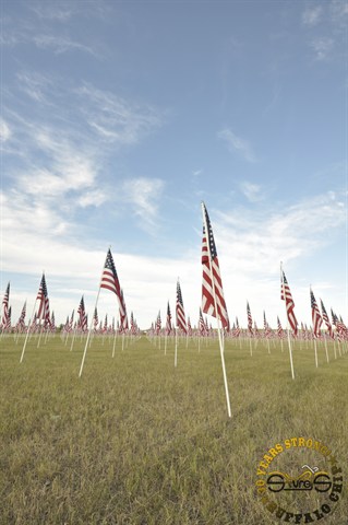 View photos from the 2010 Military Tribute Freedom Photos Photo Gallery