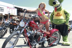 buffalochip_rats_hole-70