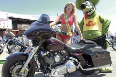 buffalochip_rats_hole-72