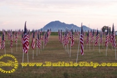 Aug5_web_flagsmountain
