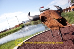 Aug5_web_gardenskull