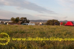 Aug5_web_redtent