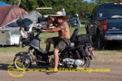 Aug7_web_bullhorns