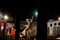 Aug7_web_bullrider