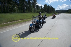 sturgis-buffalo-chip-2011-biker-belles (27)