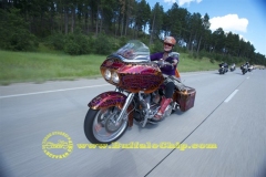 sturgis-buffalo-chip-2011-biker-belles (28)