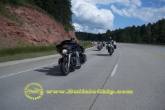 sturgis-buffalo-chip-2011-biker-belles (29)