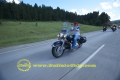 sturgis-buffalo-chip-2011-biker-belles (33)