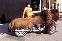 sturgis-buffalo-chip-2011-camper-photos (12)