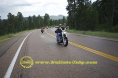 sturgis-buffalo-chip-2011-legends-ride (166)