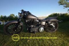 sturgis-buffalo-chip-2011-legends-ride (241)