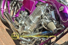 sturgis-buffalo-chip-2011-legends-ride (262)