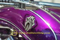 sturgis-buffalo-chip-2011-legends-ride (265)