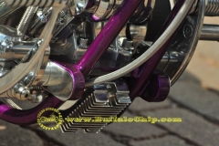 sturgis-buffalo-chip-2011-legends-ride (266)