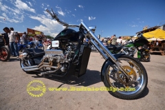 sturgis-buffalo-chip-rats-hole-bike-show-2011 (10)