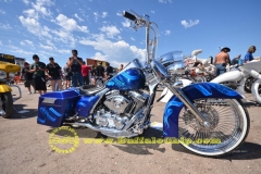 sturgis-buffalo-chip-rats-hole-bike-show-2011 (11)