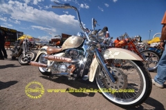 sturgis-buffalo-chip-rats-hole-bike-show-2011 (15)