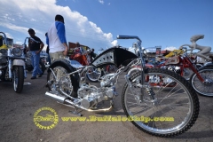 sturgis-buffalo-chip-rats-hole-bike-show-2011 (16)