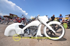 sturgis-buffalo-chip-rats-hole-bike-show-2011 (17)
