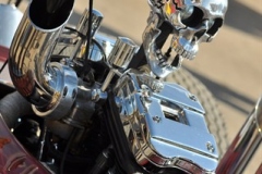 sturgis-buffalo-chip-rats-hole-bike-show-2011 (3)
