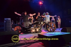 sturgis-buffalo-chip-rats-hole-bike-show-2011 (31)