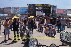 sturgis-buffalo-chip-rats-hole-bike-show-2011 (36)