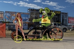 sturgis-buffalo-chip-rats-hole-bike-show-2011 (38)