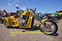 sturgis-buffalo-chip-rats-hole-bike-show-2011 (4)