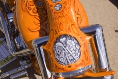 sturgis-buffalo-chip-rats-hole-bike-show-2011 (46)