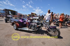 sturgis-buffalo-chip-rats-hole-bike-show-2011 (5)