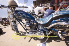 sturgis-buffalo-chip-rats-hole-bike-show-2011 (50)