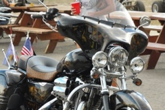 sturgis-buffalo-chip-rats-hole-bike-show-2011 (66)